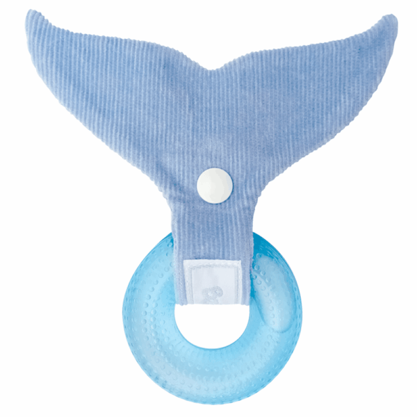 Mordillo Refrigerante Ballena – Etapa 1