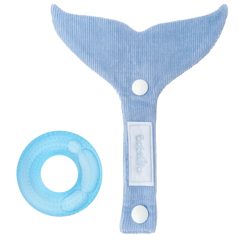 Mordillo Refrigerante Ballena – Etapa 1 - Imagen 5