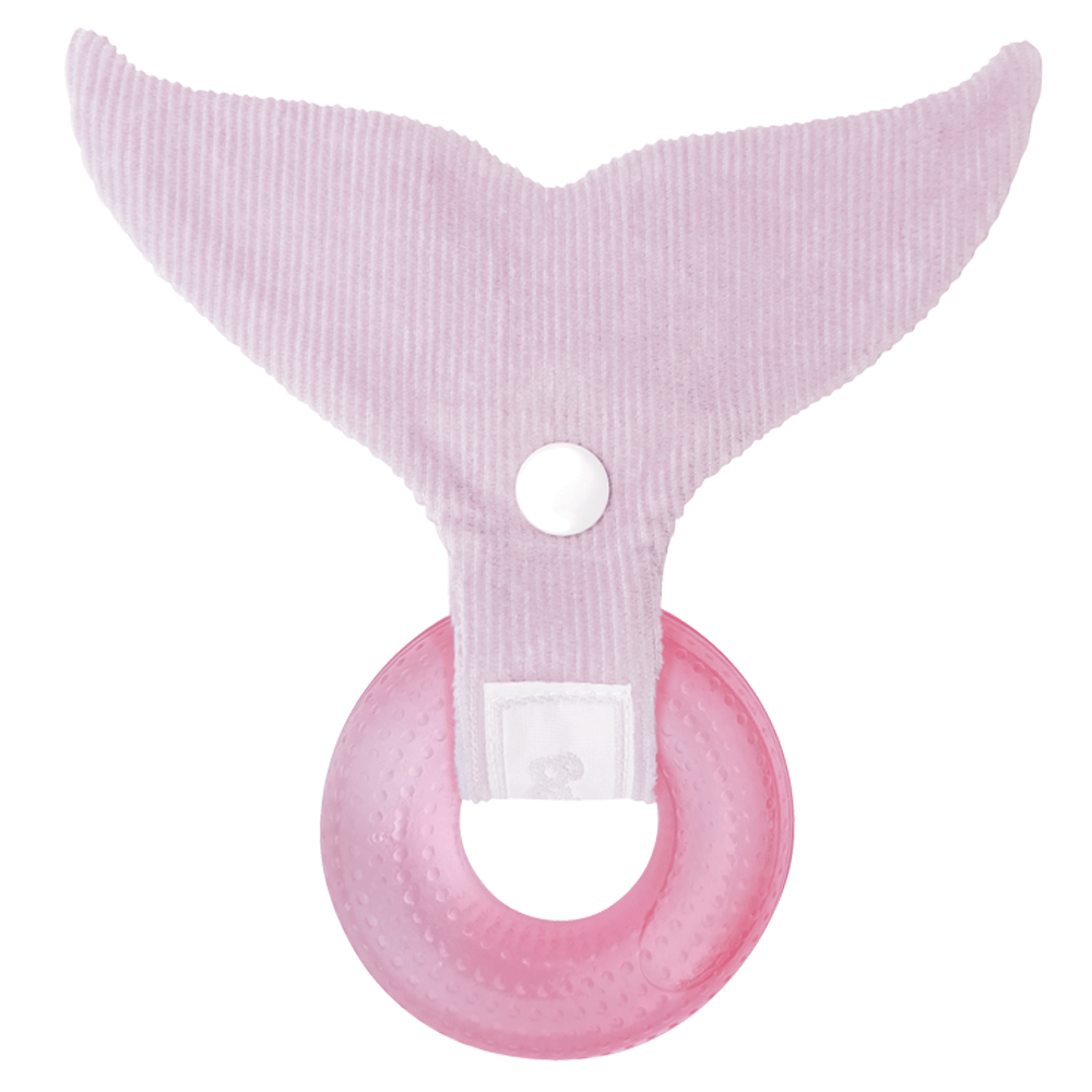 Mordillo Refrigerante Ballena – Etapa 1 - Imagen 7